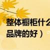 整體櫥柜什么牌子比較好啊（我想問櫥柜那個品牌的好）