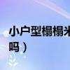 小戶型榻榻米房間設(shè)計(小戶型適合做榻榻米嗎) 小戶型榻榻米房間設(shè)計(小戶型適合做榻榻米嗎)