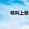 啥叫上懸窗 哪位說說什么是中懸窗 