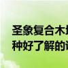 圣象復(fù)合木地板多少錢一平方 圣象木地板那種好了解的說(shuō)下 