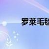 羅萊毛毯 羅萊拉舍爾毛毯怎么樣 