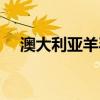 澳大利亞羊毛毯 澳大利亞羊毛毯哪里有 