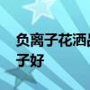 負(fù)離子花灑品牌 小白求問負(fù)離子花灑哪個牌子好 