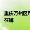 重慶萬(wàn)州區(qū)可提供TCL中央空調(diào)維修服務(wù)地址在哪