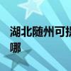 湖北隨州可提供TCL中央空調(diào)維修服務(wù)地址在哪