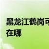 黑龍江鶴崗可提供約克中央空調(diào)維修服務(wù)地址在哪