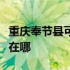 重慶奉節(jié)縣可提供約克中央空調(diào)維修服務(wù)地址在哪