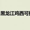 黑龍江雞西可提供統(tǒng)帥冰箱維修服務(wù)地址在哪