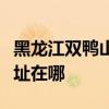 黑龍江雙鴨山可提供東芝中央空調(diào)維修服務(wù)地址在哪
