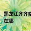 黑龍江齊齊哈爾可提供東芝冰箱維修服務(wù)地址在哪