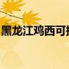 黑龍江雞西可提供松下冰箱維修服務(wù)地址在哪