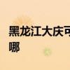黑龍江大慶可提供西門子冰箱維修服務(wù)地址在哪