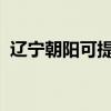 遼寧朝陽可提供松下冰箱維修服務(wù)地址在哪