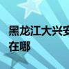 黑龍江大興安嶺可提供海爾冰箱維修服務地址在哪