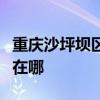重慶沙坪壩區(qū)可提供澳柯瑪冰箱維修服務(wù)地址在哪