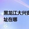 黑龍江大興安嶺可提供澳柯瑪冰箱維修服務地址在哪