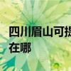 四川眉山可提供伊萊克斯洗衣機(jī)維修服務(wù)地址在哪 四川眉山可提供伊萊克斯洗衣機(jī)維修服務(wù)地址在哪
