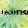 山東濱州可提供金羚洗衣機維修服務地址在哪