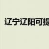 遼寧遼陽可提供威力冰箱維修服務(wù)地址在哪