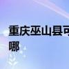 重慶巫山縣可提供小鴨洗衣機(jī)維修服務(wù)地址在哪