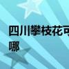 四川攀枝花可提供金羚洗衣機維修服務地址在哪