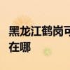 黑龍江鶴崗可提供格蘭仕洗衣機(jī)維修服務(wù)地址在哪