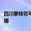 四川攀枝花可提供統(tǒng)帥洗衣機(jī)維修服務(wù)地址在哪
