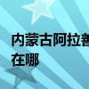 內(nèi)蒙古阿拉善可提供金羚洗衣機(jī)維修服務(wù)地址在哪 內(nèi)蒙古阿拉善可提供金羚洗衣機(jī)維修服務(wù)地址在哪