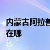 內(nèi)蒙古阿拉善可提供海爾壁掛爐維修服務(wù)地址在哪