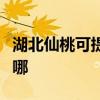 湖北仙桃可提供格蘭仕洗衣機(jī)維修服務(wù)地址在哪
