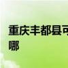 重慶豐都縣可提供金羚洗衣機(jī)維修服務(wù)地址在哪
