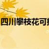 四川攀枝花可提供威力冰箱維修服務(wù)地址在哪