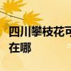 四川攀枝花可提供澳柯瑪洗衣機維修服務(wù)地址在哪 四川攀枝花可提供澳柯瑪洗衣機維修服務(wù)地址在哪