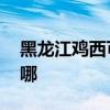 黑龍江雞西可提供LG洗衣機(jī)維修服務(wù)地址在哪
