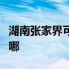 湖南張家界可提供松下洗衣機維修服務地址在哪