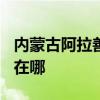 內(nèi)蒙古阿拉善可提供TCL洗衣機(jī)維修服務(wù)地址在哪