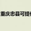 重慶忠縣可提供海信洗衣機維修服務(wù)地址在哪