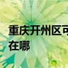 重慶開州區(qū)可提供榮事達洗衣機維修服務地址在哪