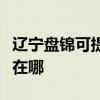 遼寧盤錦可提供伊萊克斯洗衣機(jī)維修服務(wù)地址在哪