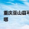 重慶巫山縣可提供博世洗衣機維修服務(wù)地址在哪