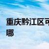 重慶黔江區(qū)可提供小鴨洗衣機(jī)維修服務(wù)地址在哪
