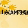 山東濱州可提供松下洗衣機維修服務地址在哪 山東濱州可提供松下洗衣機維修服務地址在哪