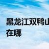 黑龍江雙鴨山可提供威力洗衣機(jī)維修服務(wù)地址在哪
