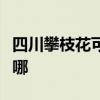 四川攀枝花可提供春蘭洗衣機(jī)維修服務(wù)地址在哪