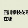 四川攀枝花可提供惠而浦洗衣機(jī)維修服務(wù)地址在哪
