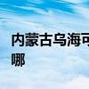 內(nèi)蒙古烏?？商峁┎┦老匆聶C(jī)維修服務(wù)地址在哪