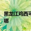 黑龍江雞西可提供三星洗衣機(jī)維修服務(wù)地址在哪