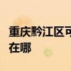 重慶黔江區(qū)可提供澳柯瑪洗衣機(jī)維修服務(wù)地址在哪