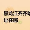 黑龍江齊齊哈爾可提供東芝洗衣機(jī)維修服務(wù)地址在哪