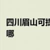 四川眉山可提供菲斯曼壁掛爐維修服務(wù)地址在哪